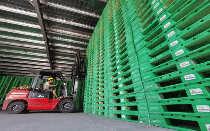 福建国林木材产业园